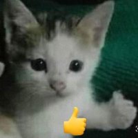 gisel bukan aespa (@stopminummatcha) 's Twitter Profile