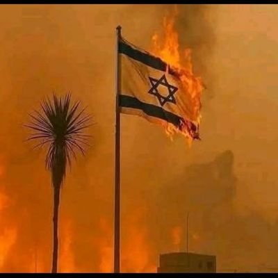 Muhamme35200243's profile picture. Don’t raise your voice. Improve your argument.