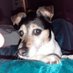 Neil Mc (@nellmc148310) Twitter profile photo Neil Mc (@nellmc148310) Twitter profile photo