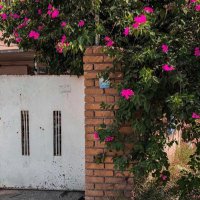 ali (@kenneth34563980) Twitter profile photo