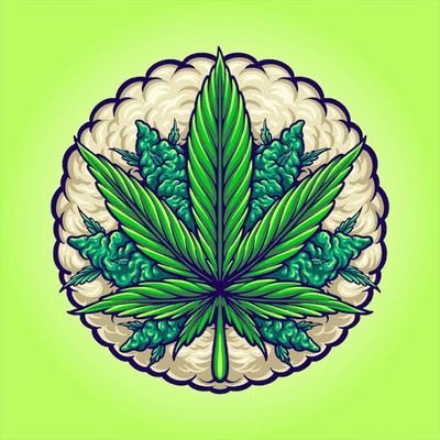 CreativesDen3's profile picture. Best hybrid strains in 254 🇰🇪. Payment in USDT Full payment deposit. Crypto enthusiasts. Mental health activist. DM ON X TO ORDER. Be patient. I reply all DMs