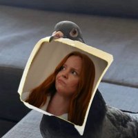 lauren ambrose’s carrier pigeon (@pigeonpalmer) 's Twitter Profile