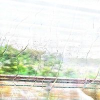 nwtcdetg (@nwtcdetg) 's Twitter Profile