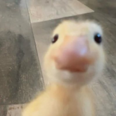 แม่ไม่ให้พูดไม่เอาไม่เอาไม่บอก แม่ไม่ให้บอก ชั้นยังไม่เป็นผู้ใหญ่