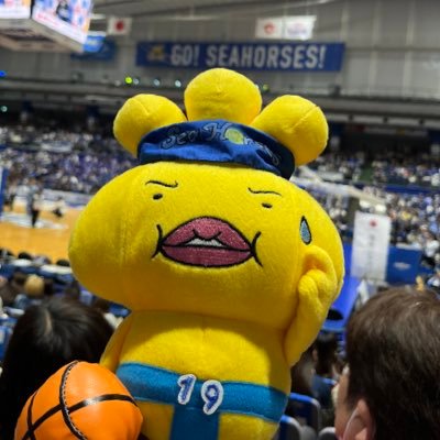 odenpyan's profile picture. シーホース三河⛹️‍♂️#19･#16 💙サンロッカーズ渋谷⛹️#12(ZERO BASE入会したよ🙋‍♀️)･#13💛横浜ビー･コルセアーズ⛹️‍♂️#18･#24🏴‍☠️ バスケは河村勇輝をきっかけにハマりました🏀まだまだ初心者🔰関東住みの成人済み🙋‍♀️仲良くして下さい🤝