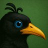 xkau's profile picture. Negro pájaro del adiós.