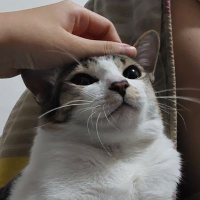 kutsuryu_zz's profile picture. BB | TH ENG JP | Multidom | Watercolor / Digital | Fanart ♡
FB : Bub BU
IG : @kutsuryu_zz