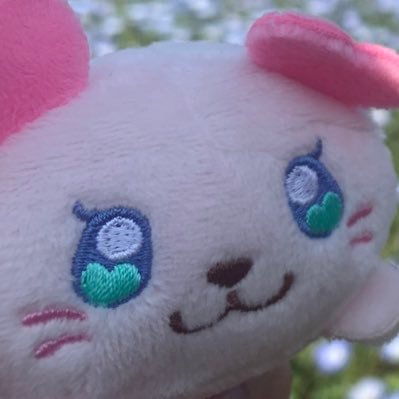 セイ:さんのプロフィール画像