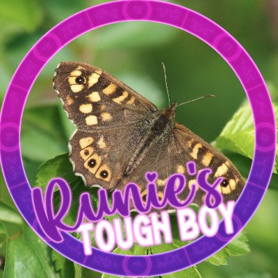 rused_flappy's profile picture. 