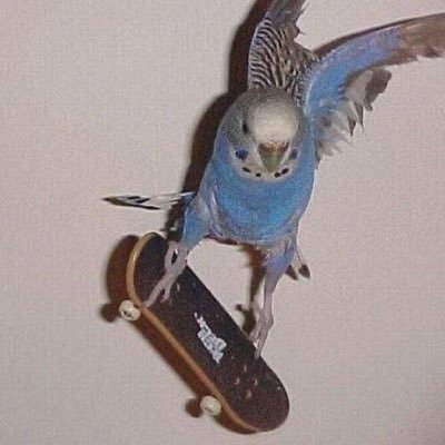 JoseOmarBe50993's profile picture. 𝕵𝖚𝖘𝖙 𝖑𝖎𝖛𝖊𝖎𝖓𝖌