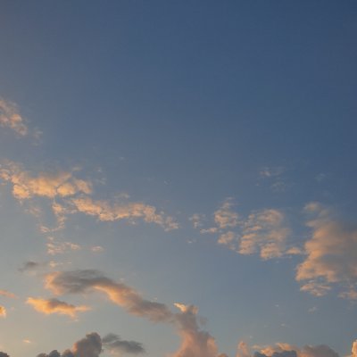 freqedom's profile picture. Keep walkin'