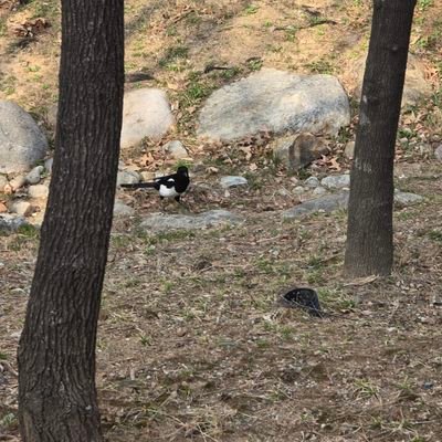 devjiwon's profile picture. 코드 개발자 준비 중입니다,
javaEE