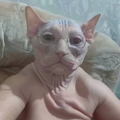 frxncehimself's profile picture. lol