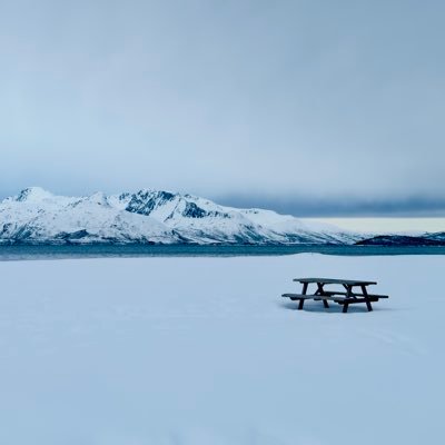 the_wanderer16's profile picture. treat people with kindness:) | Barça Fem 💙❤️ | LingOrm 💜| Just an old soul navigating this wild and amusing world ✈️🗺️🌎🚀🇸🇬