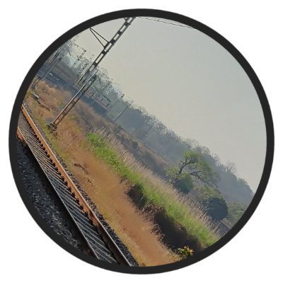 SonarNilka38594's profile picture. Become porn star or gigolo to satisfy women's only