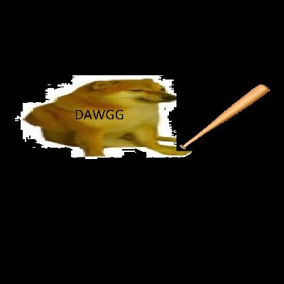 tucnakobecny1's profile picture. hi