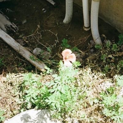 涼月さんのプロフィール画像