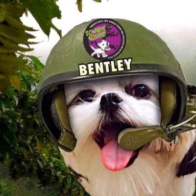 @tzukingdom 2&3📚 #12thdog🏈#theruffriderz 🏍 rear admiral #zshq🎖#zeops⛑ #zsmedics 𝚕𝚒𝚗𝚎𝚗🏥𝚍𝚢𝚗𝚊𝚖𝚘 #xpsh⚡️𝚌𝚊𝚙𝚝𝚊𝚒𝚗 #theaviators✈️