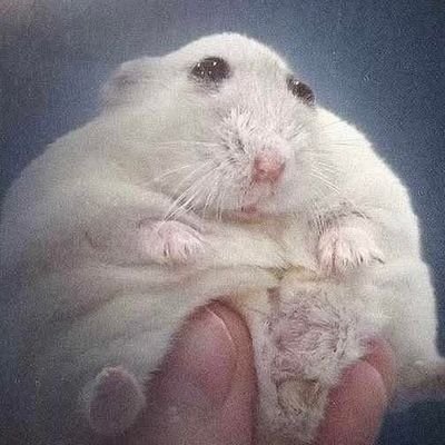 Gae-Mingさんのプロフィール画像