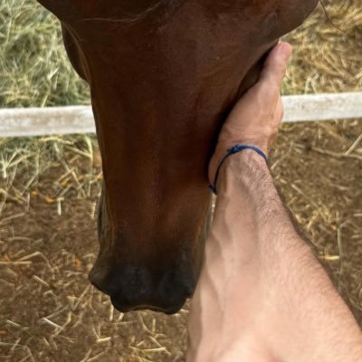 dexb87's profile picture. #ولد_زايد براند مميز، فوق السحايب له مكانة🇦🇪 @ oj0