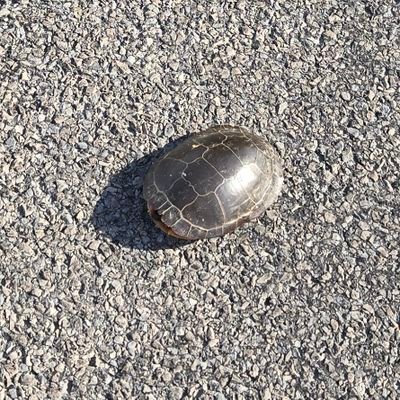 prickly_peach7's profile picture. 