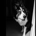 Betti ๐ง (@bettiboop1950) Twitter profile photo Betti ๐ง (@bettiboop1950) Twitter profile photo