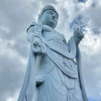 Peace (@xiangchi_) 's Twitter Profile Photo Peace (@xiangchi_) 's Twitter Profile Photo