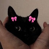 fumimi🤙🏻✨️ (@dark_alias) 's Twitter Profile