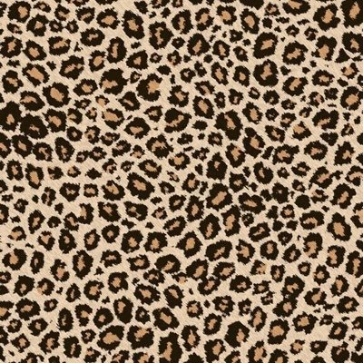 onlywinterrr's profile picture. 🕷