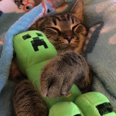 닌자さんのプロフィール画像
