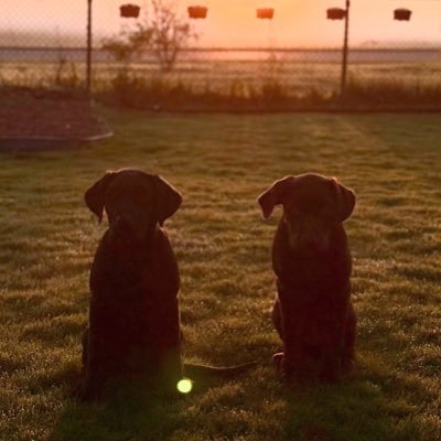 Midwestern3791's profile picture. 