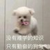 Aria (@yaya79824352) Twitter profile photo Aria (@yaya79824352) Twitter profile photo