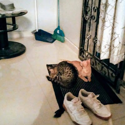 HulkmodeB's profile picture. 