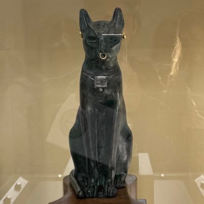 Iusvinic_'s profile picture. Tudo o que nos irrita nos outros pode nos levar à compreensão de nós mesmos.