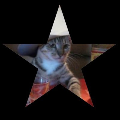 siirdaviis's profile picture. Controversial Belligerent