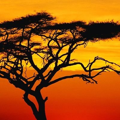 Amante de la Paz,La
Justicia,la Libertad, el conocimiento,la Literatura y la Belleza.Por lo que he Vivido,Leído,Sentido y Amado,soy Progresista y Antiuribista