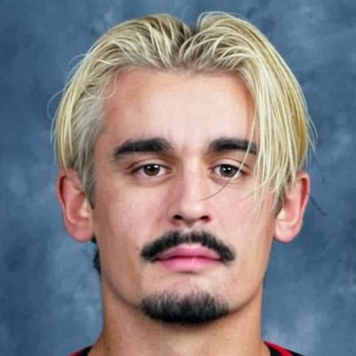 nuclearbeers's profile picture. Seth Jarvis enjoyer. Light lager drinker. 5.8 handicap.