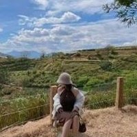 Lauren (@jooorxi172) 's Twitter Profile