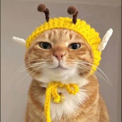 chicha_normie's profile picture. jumping building play

🌁