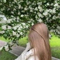 Tleeko (@tleeko300) 's Twitter Profile