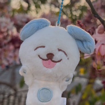 구아さんのプロフィール画像