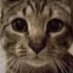 Jasiu (@jasiuszalony) Twitter profile photo Jasiu (@jasiuszalony) Twitter profile photo