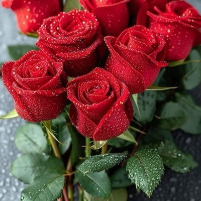 @ayhanif010519