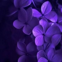 za22he23r4 (@zaherdakakni832) 's Twitter Profile