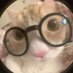 Helô (@cacd_helo) Twitter profile photo Helô (@cacd_helo) Twitter profile photo