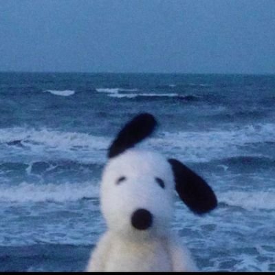 absurd_geek's profile picture. Quantuvalent...