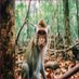 LeafForest (@leafforest47545) Twitter profile photo LeafForest (@leafforest47545) Twitter profile photo