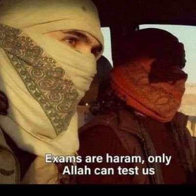 plentysir3's profile picture. 