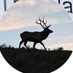 chrisanethery Profile picture
