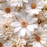 الخطابة أم سالم (@kh_umsalem) Twitter profile photo